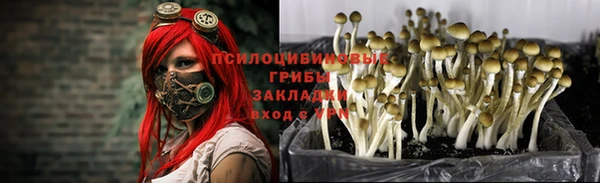 гашик Балабаново